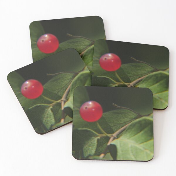 Item preview, fruit designed and sold by artisticjammer.