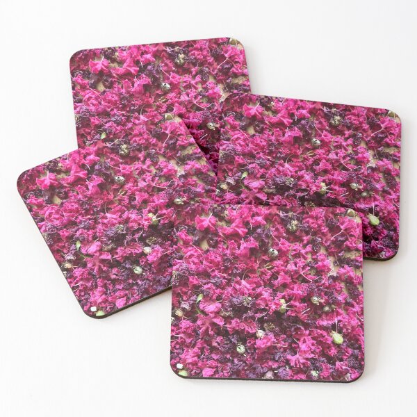 Item preview, Pink Crepe Myrtle designed and sold by EmmaLilStudio.