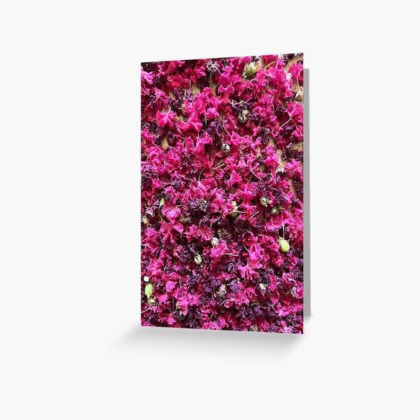 Vista previa del artículo con la obra «Mirto de crepe rosado», diseñado y vendido por EmmaLilStudio.