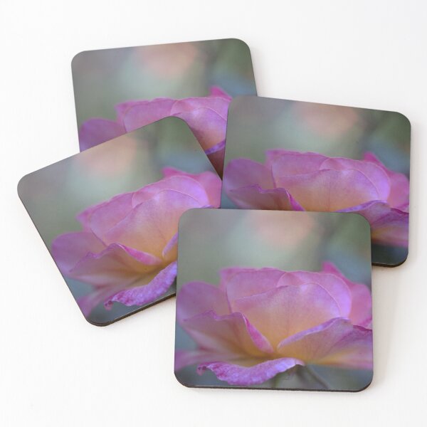 Item preview, Rose at Dusk designed and sold by imaginethis.