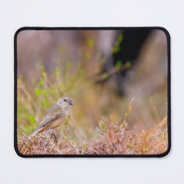 Item preview, Serene Thornbill in the Australian Outback designed and sold by AvianAdventures.