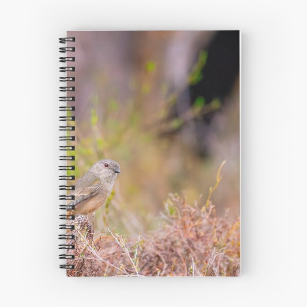 Item preview, Serene Thornbill in the Australian Outback designed and sold by AvianAdventures.