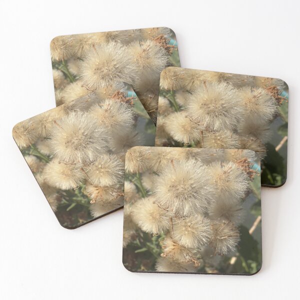 Item preview, Common Ragwort designed and sold by Betsy Phillips.