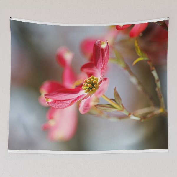 Item preview, Beautiful Elegant Dogwood Flower designed and sold by Joy Watson - Natural Light Photography .