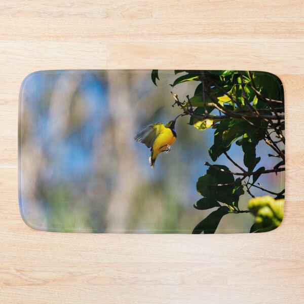 Item preview, Sunbird in Motion designed and sold by AvianAdventures.