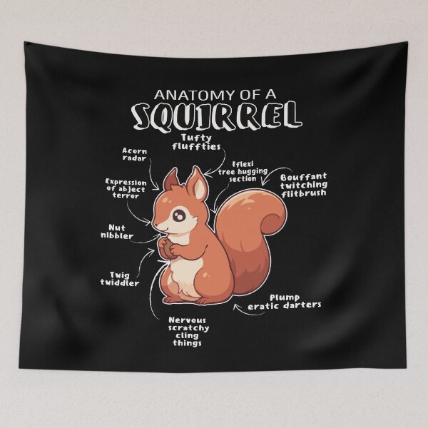 Item preview, the anatomy of a squirrel designed and sold by samah82.