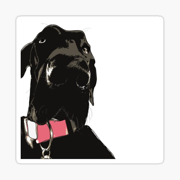 Great Dane Dog (black-pink collar) Sticker