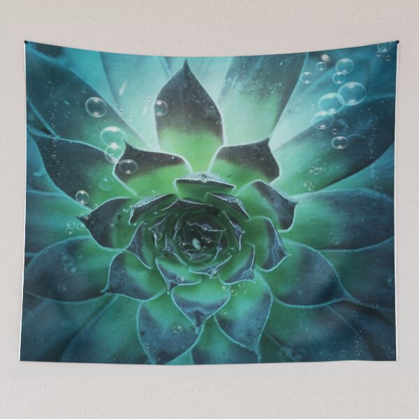 Item preview, Water Succulent designed and sold by ArtistKAO.