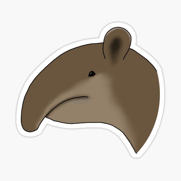 Vista previa del artículo con la obra «Dibujo de la cara del tapir de Baird», diseñado y vendido por ThatIsSomething.