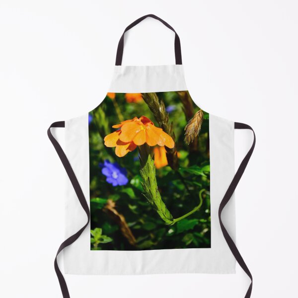 Item preview, Firecracker Flower designed and sold by MercerImages.
