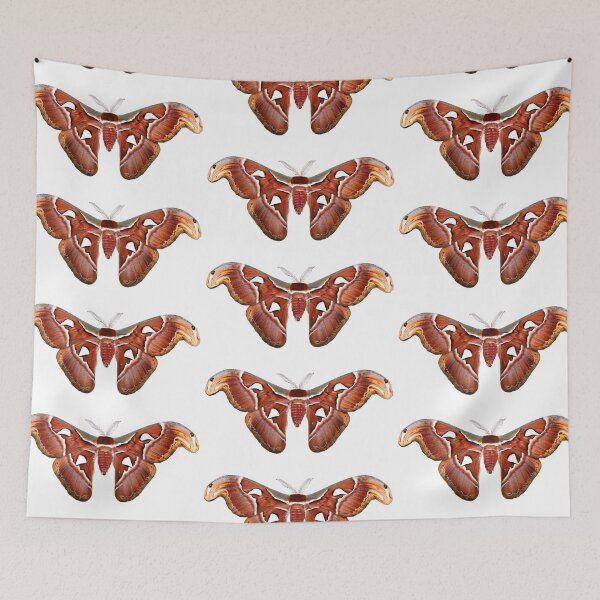 Item preview, Atlas moth designed and sold by Yuran-Design.