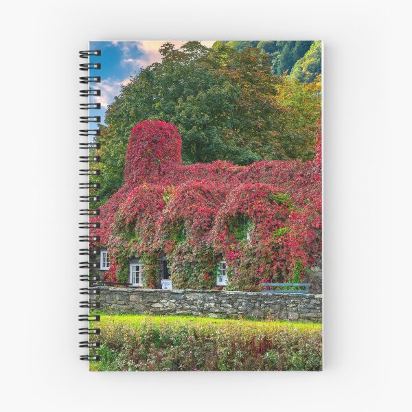 Item preview, Tea Room Llanrwst North Wales designed and sold by AJEvans.