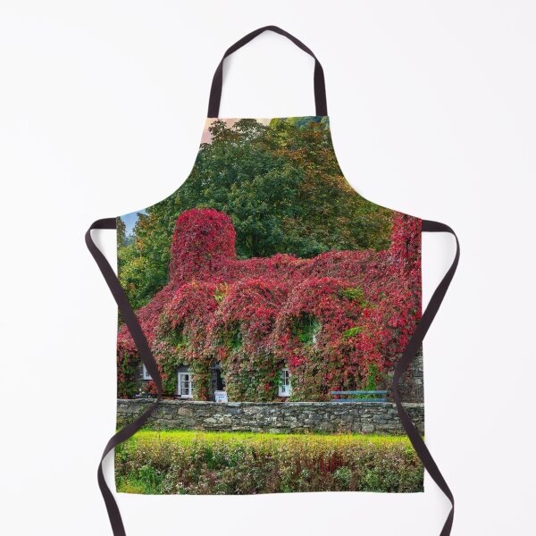 Item preview, Tea Room Llanrwst North Wales designed and sold by AJEvans.