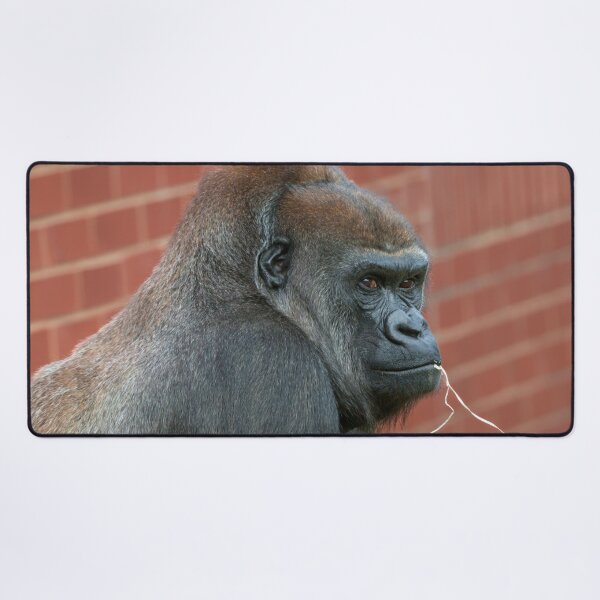 Item preview, Resilient Gorilla Mother designed and sold by rawshutterbug.