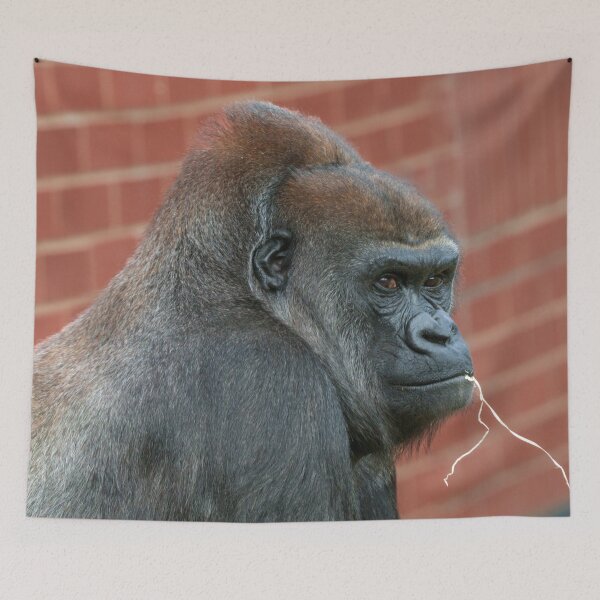 Item preview, Resilient Gorilla Mother designed and sold by rawshutterbug.