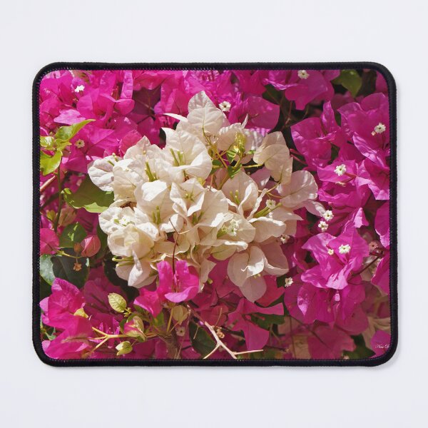 Item preview, Happy Safe Privacy, is Part of the Way For PEACE designed and sold by Nira Dabush.