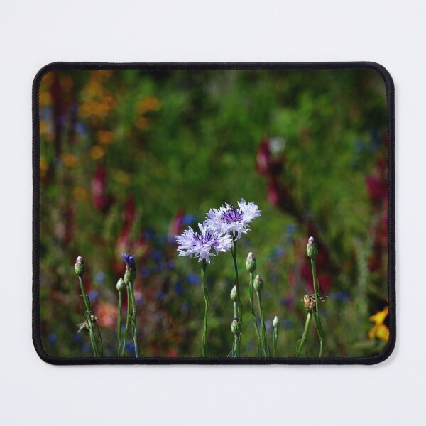 Artikelvorschau, Malerische Wildblumen entworfen und verkauft von MZukoPhoto.