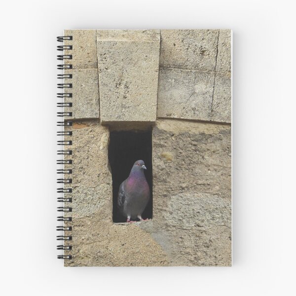 Item preview, Pigeon hole. designed and sold by Paul Pasco.