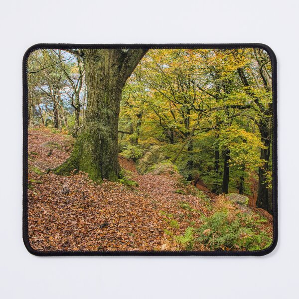 Item preview, Saddlebole, Alderley Edge designed and sold by Phil Hemsley.
