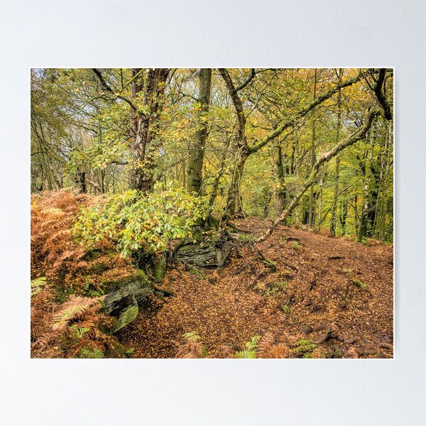 Item preview, Alderley Edge designed and sold by Phil Hemsley.