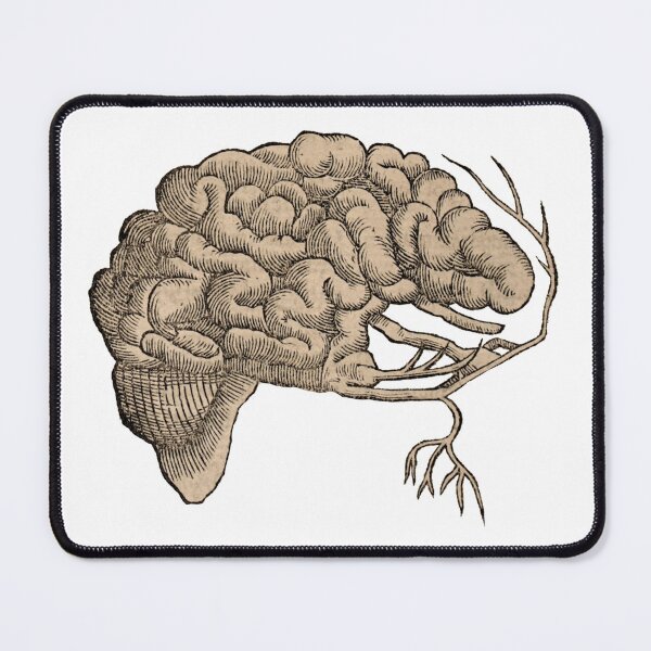 Item preview, Vintage Human Brain Anatomy Illustration designed and sold by HawthorneFlame.