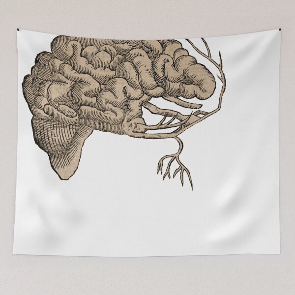 Item preview, Vintage Human Brain Anatomy Illustration  designed and sold by HawthorneFlame.