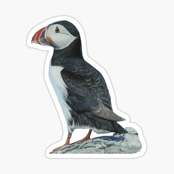 Handdrawn Puffin Pillow Case Iceland Souvenir Icelandic -  in