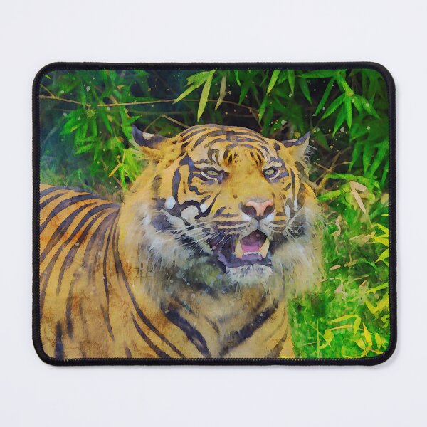Item preview, Close-up of a Sumatran tiger designed and sold by Dolfilms.