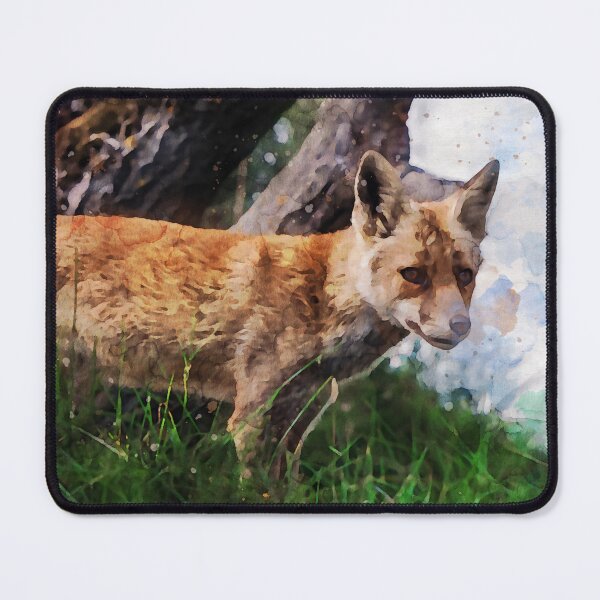 Item preview, Sideview of a young fox in late summer looking down from a hill designed and sold by Dolfilms.
