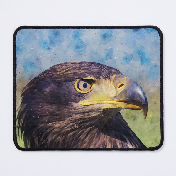 Item preview, Close-up of an immature American bald eagle designed and sold by Dolfilms.