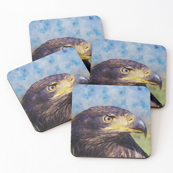 Item preview, Close-up of an immature American bald eagle designed and sold by Dolfilms.