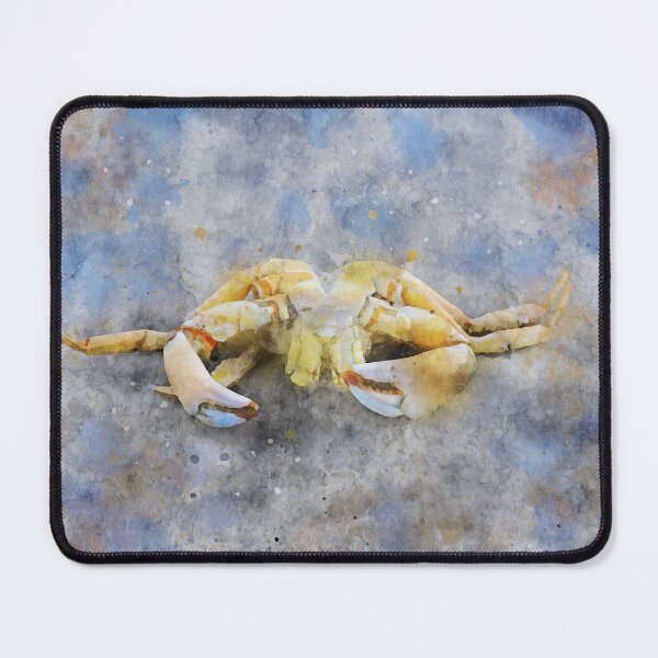 Item preview, Shore crab on beach designed and sold by Dolfilms.