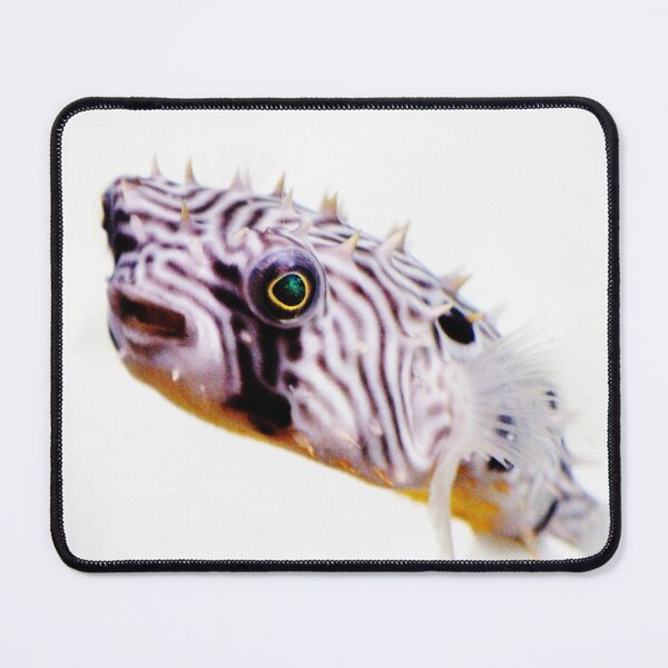 Item preview, Cute Pufferfish designed and sold by Cynthia48.