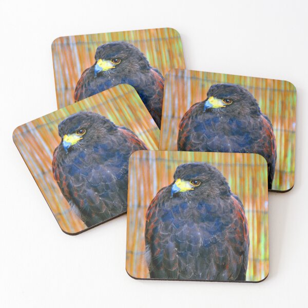 Item preview, Harris Hawk Bird Of Prey designed and sold by AndyEvansPhotos.