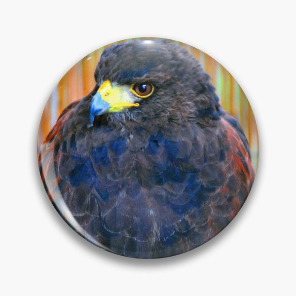 Item preview, Harris Hawk Bird Of Prey designed and sold by AndyEvansPhotos.