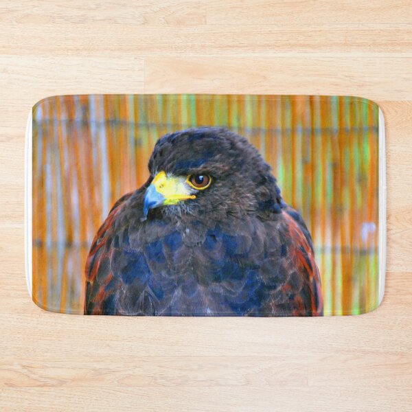 Item preview, Harris Hawk Bird Of Prey designed and sold by AndyEvansPhotos.