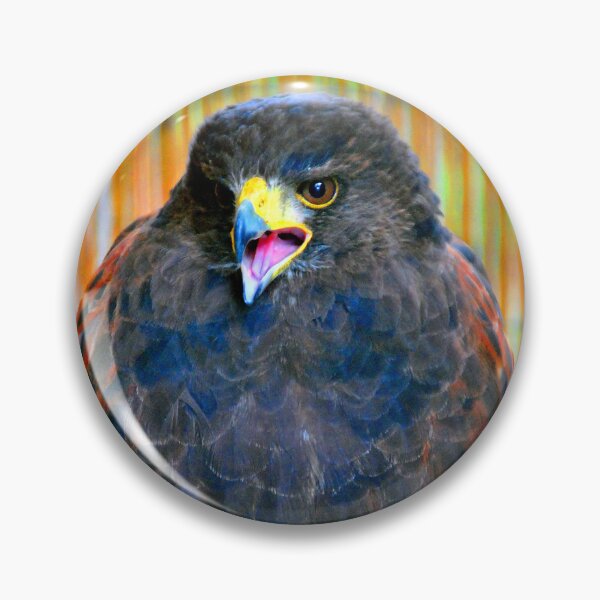 Item preview, Harris Hawk Bird Of Prey designed and sold by AndyEvansPhotos.