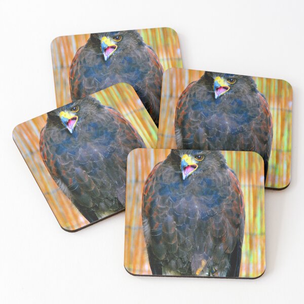 Item preview, Harris Hawk Bird Of Prey designed and sold by AndyEvansPhotos.