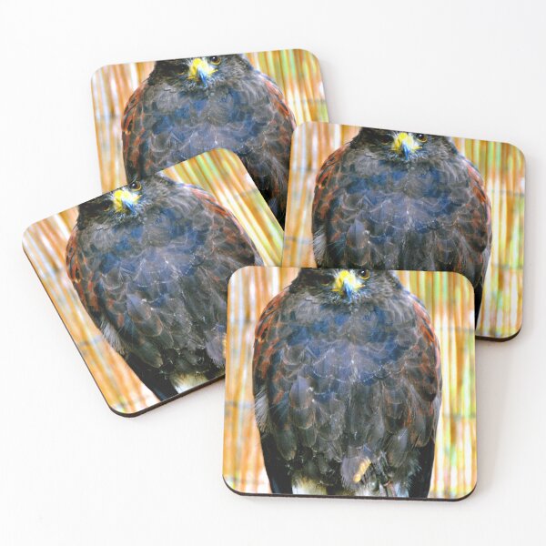 Item preview, Harris Hawk Bird Of Prey designed and sold by AndyEvansPhotos.