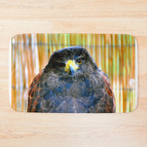 Item preview, Harris Hawk Bird Of Prey designed and sold by AndyEvansPhotos.