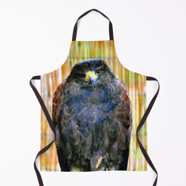 Item preview, Harris Hawk Bird Of Prey designed and sold by AndyEvansPhotos.