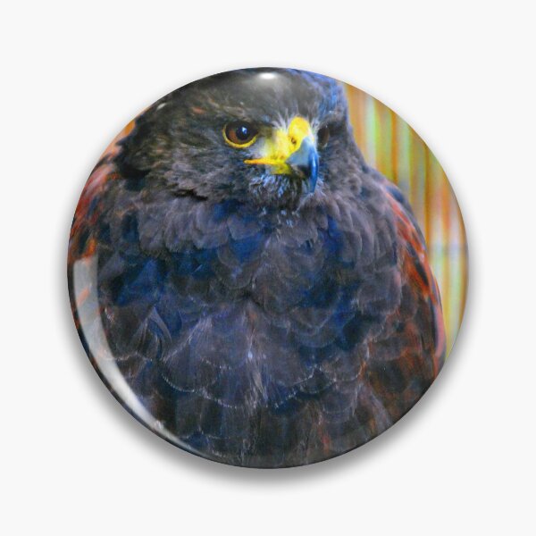 Item preview, Harris Hawk Bird Of Prey designed and sold by AndyEvansPhotos.