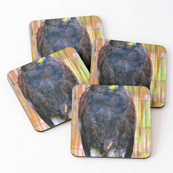 Item preview, Harris Hawk Bird Of Prey designed and sold by AndyEvansPhotos.