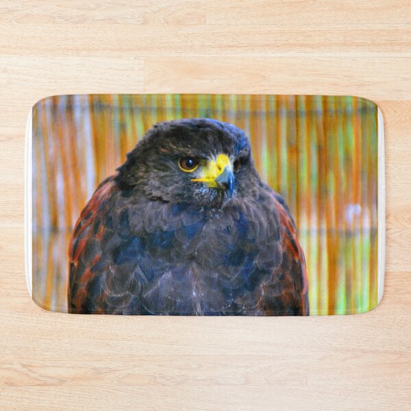 Item preview, Harris Hawk Bird Of Prey designed and sold by AndyEvansPhotos.