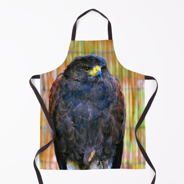 Item preview, Harris Hawk Bird Of Prey designed and sold by AndyEvansPhotos.