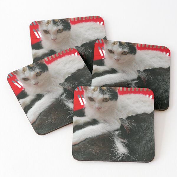 Item preview, cat cuddle basket designed and sold by Gourmetkater.
