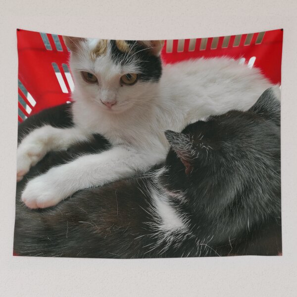 Item preview, cat cuddle basket designed and sold by Gourmetkater.