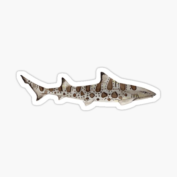 Item preview, LEOPARD SHARK-Triakis semifasciata designed and sold by BEATRIZ ABAITUA.