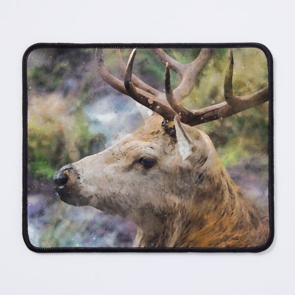 Item preview, Red deer stag in the wilderness designed and sold by Dolfilms.