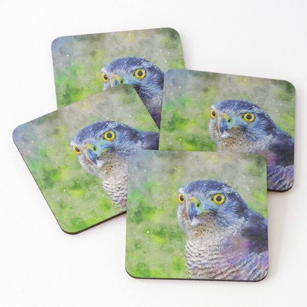 Item preview, Close up view of a sparrowhawk designed and sold by Dolfilms.